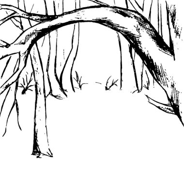 Beyaz arkaplanda siyah ağaç ana hatları