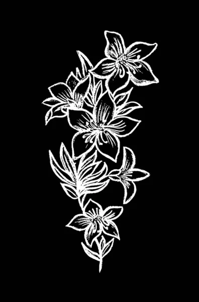Målade Vita Blommor Svart Bakgrund — Stockfoto