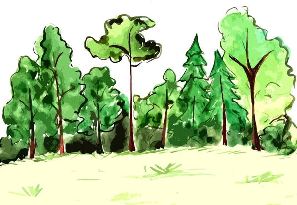 Bäume Wald Waldrand Grafik Bild — Stockfoto