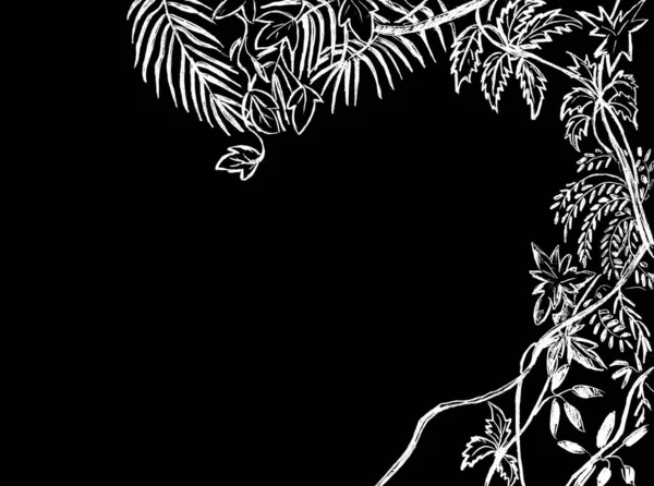 Тропічні Рослини Ліани Пофарбовані Білий Колір Чорному Тлі — стокове фото