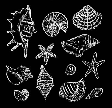 Siyah arkaplan üzerindeki beyaz kabukların grafiksel görüntüsü