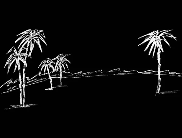 Siyah Zemin Üzerinde Beyaz Palmiye Ağaçları Olan Bir Manzaranın Grafiksel — Stok fotoğraf