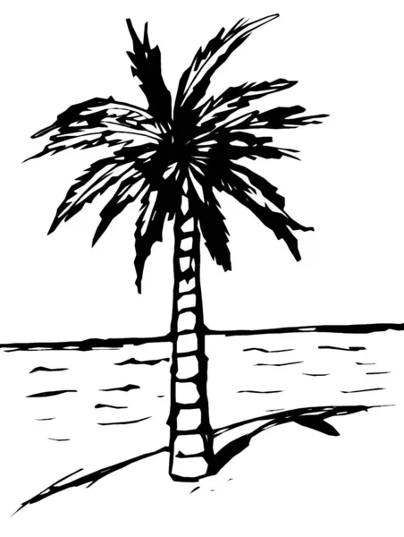 One Palm Tree Beach Painted Black White Background — Stock Photo, Image