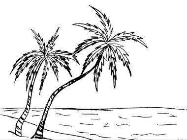 Deniz manzarasında iki palmiye ağacı