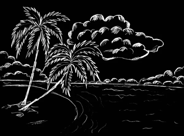 我们在海滩上用云彩把棕榈树贴在天空上 — 图库照片