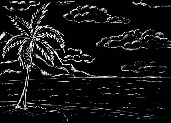 海滩上的棕榈树映衬着天空 乌云密布 — 图库照片