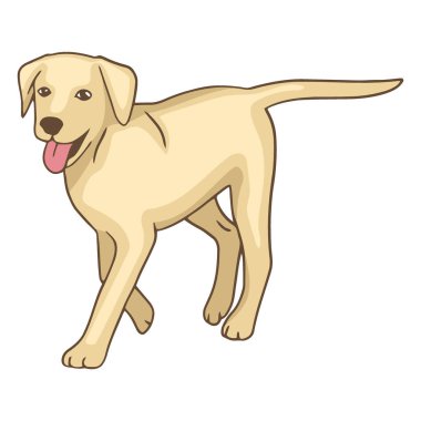 Açık sarı Labrador Retriever köpeğinin neşeli bir çizimi. Dili şakacı bir şekilde dışarı çıkmış..
