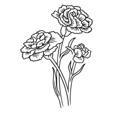 Ayrıntılı taç yaprakları ve ince saplı üç karanfil çiçeğinin basit, zarif bir çizgisi beyaz arka planda yer alır..