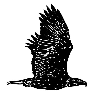 Arkasından geniş kanatları ile süzülen büyük bir yırtıcı kuşun detaylı siyah beyaz çizimi..