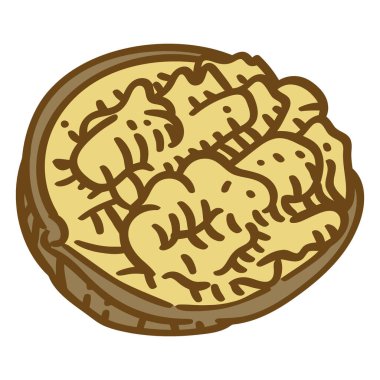 Ceviz kabuğunun elle çizilmiş basit bir çizimi içindeki desenli çekirdeği ortaya çıkarıyor..