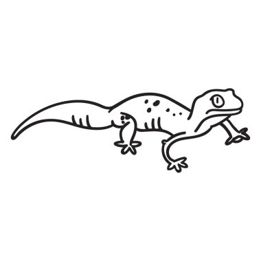 Sırtında uzun bir kuyruğu ve belirgin noktaları olan beyaz bir arka planda duran bir kertenkelenin siyah-beyaz çizgisi çizimi..