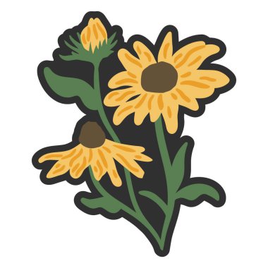 Kahverengi merkezli iki sarı siyah gözlü Susan çiçeği, kapalı bir tomurcuk ve koyu arkaplanda yeşil yapraklar..