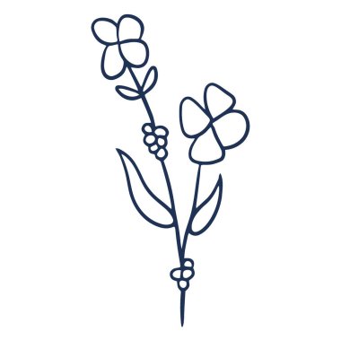 Minimalist, elle çizilmiş, her biri dört taç yaprağı olan iki çiçeğin çizilmiş bir çizimi, yanında da küçük tomurcuklar..