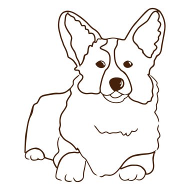 Büyüleyici, el çizimi bir Pembroke Welsh Corgi taslağı, kendine özgü büyük kulakları ve tüylü vücudu var..