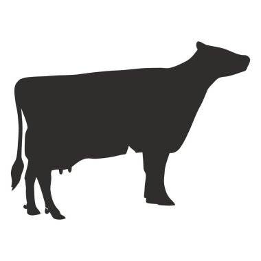 Memeleri olan bir dişi ineğin koyu renkli silueti beyaz bir arka planda yer alır. İnek sağa bakıyor..