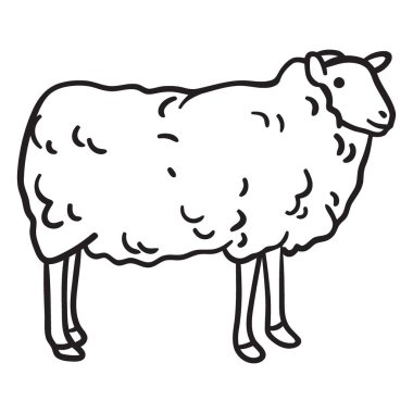 Tüylü bir kürkü ve sağa bakan dört bacağı olan bir koyunun siyah-beyaz tasviri. Basit ve temiz..