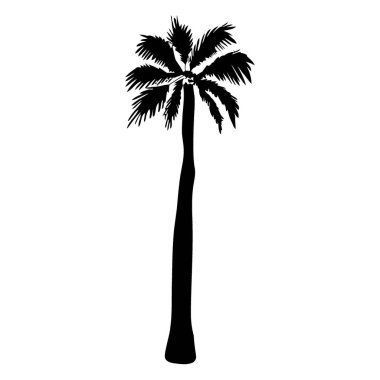 Beyaz arkaplanda izole edilmiş palmiye ağacı silueti, vektör
