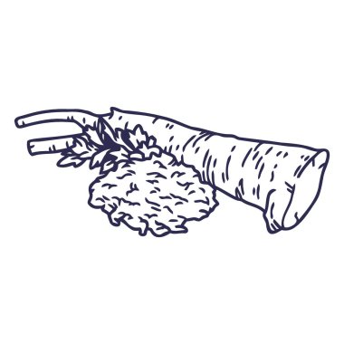 izole edilmiş el çizimi beyaz arkaplan - vektör illüstrasyonu