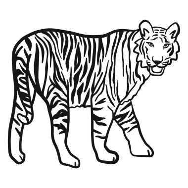 Vektör illüstrasyon kaplanı, izole edilmiş siyah siluet. el çizimi kaplan.