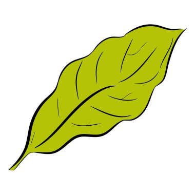 yeşil yaprak, illüstrasyon, beyaz arkaplan üzerindeki vektör.