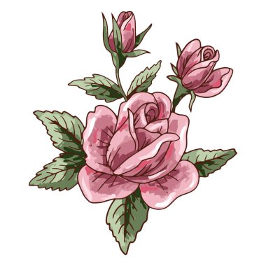 Pembe gül ile çizilmiş vektör el çizimi.