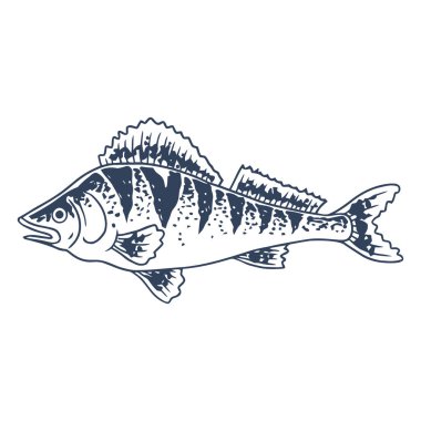 Bir balığın vektör çizimi