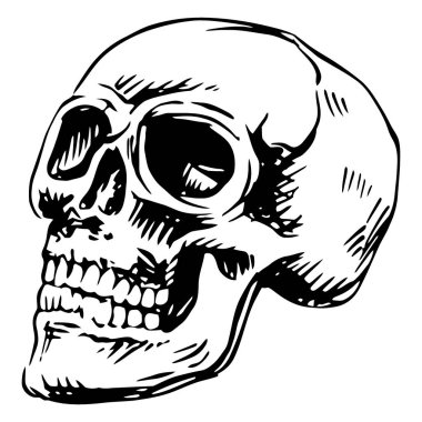 Siyah gözlü insan kafatası, vektör çizimi, beyaz üzerine izole edilmiş.