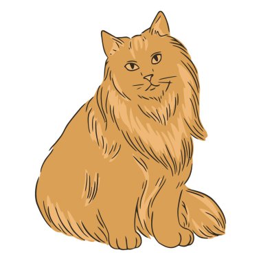 Beyaz arkaplandaki bir kedinin vektör çizimi