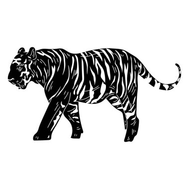 Kaplan silueti. Kaplan, vahşi hayvan, kaplan, vahşi hayvan. vektör kaplan Kaplan. Vahşi kaplan. Kara kaplan. beyaz kaplan