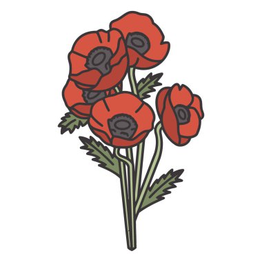 izole haşhaş çiçeği tasarımı