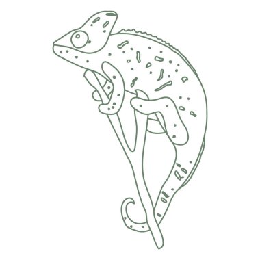 Tatlı çizgi film kertenkelesi. Çocuklar için el çizimi vektör illüstrasyonuName.