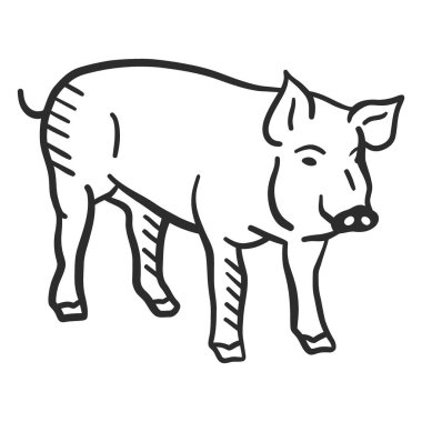 Siyah beyaz çizgili bir domuz sanatı. vektör illüstrasyonu.