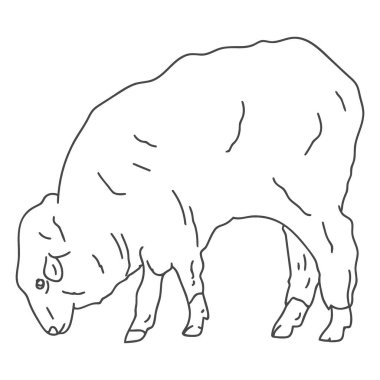 Gergedanın ana simgesi