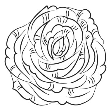 Gül. siyah ve beyaz vektör çizimi.