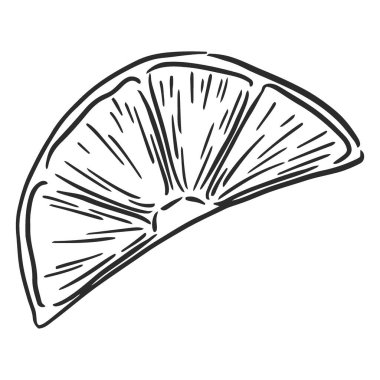 Elle çizilmiş bir dilim limon