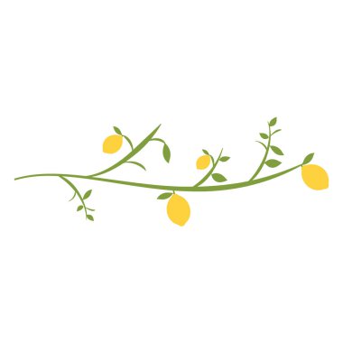 Beyaz yapraklı limon dalı