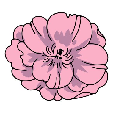 Yapraklı çiçek izole edilmiş ikon vektör illüstrasyon grafik tasarımı