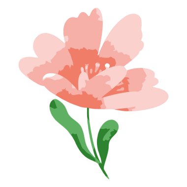 Pembe lale çiçeği simgesi