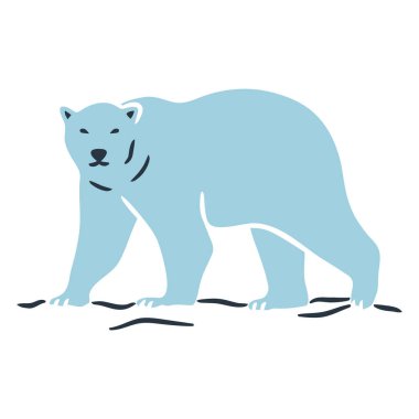 Kutup ayısı beyaz zemin üzerine