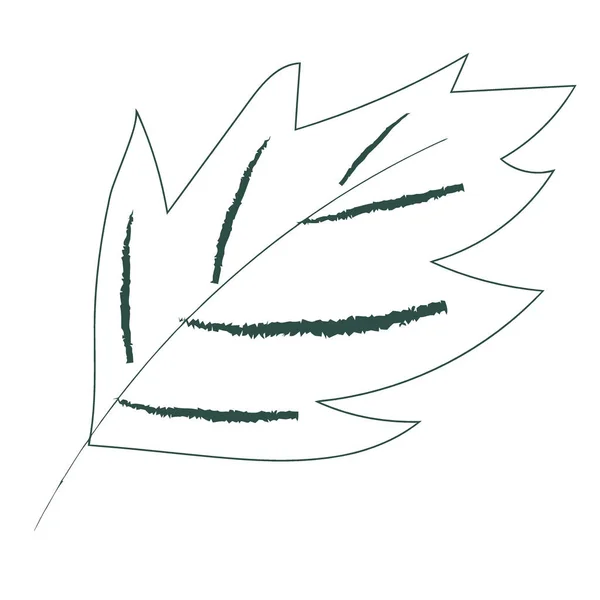 El çizimi yaprak simgesi beyaz arkaplanda izole.