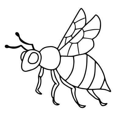 vektör, böcek, böcek, siyah ve beyaz, illüstrasyon