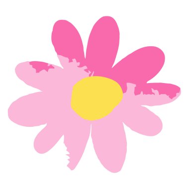 Beyaz arkaplanda güzel bir çiçek.