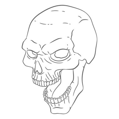 Beyaz arkaplan ile vektör kafatası