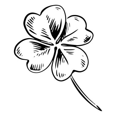 Elle çizilmiş karalama çiçeğinin vektör çizimi. yonca