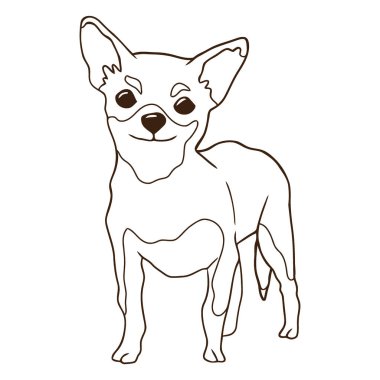 Bir köpeğin vektör çizimi. vektör illüstrasyonu