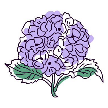 güzel ve mor çiçekler