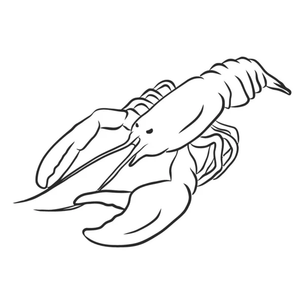 Istakoz simgesi vektör çizimi