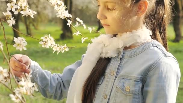 Niños felices caer pétalos árbol — Vídeo de stock