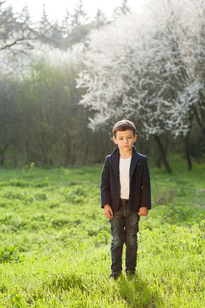 Хлопчик, весна, любов, цвітіння, гра, задоволення, добре, діти, мода, крихітка — стокове фото