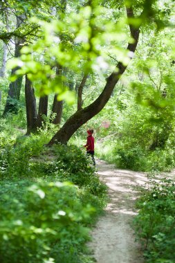 Kız, çocuk, net, yaşam tarzı, yaz, orman, böcekler, sevinç, çevre, doğa